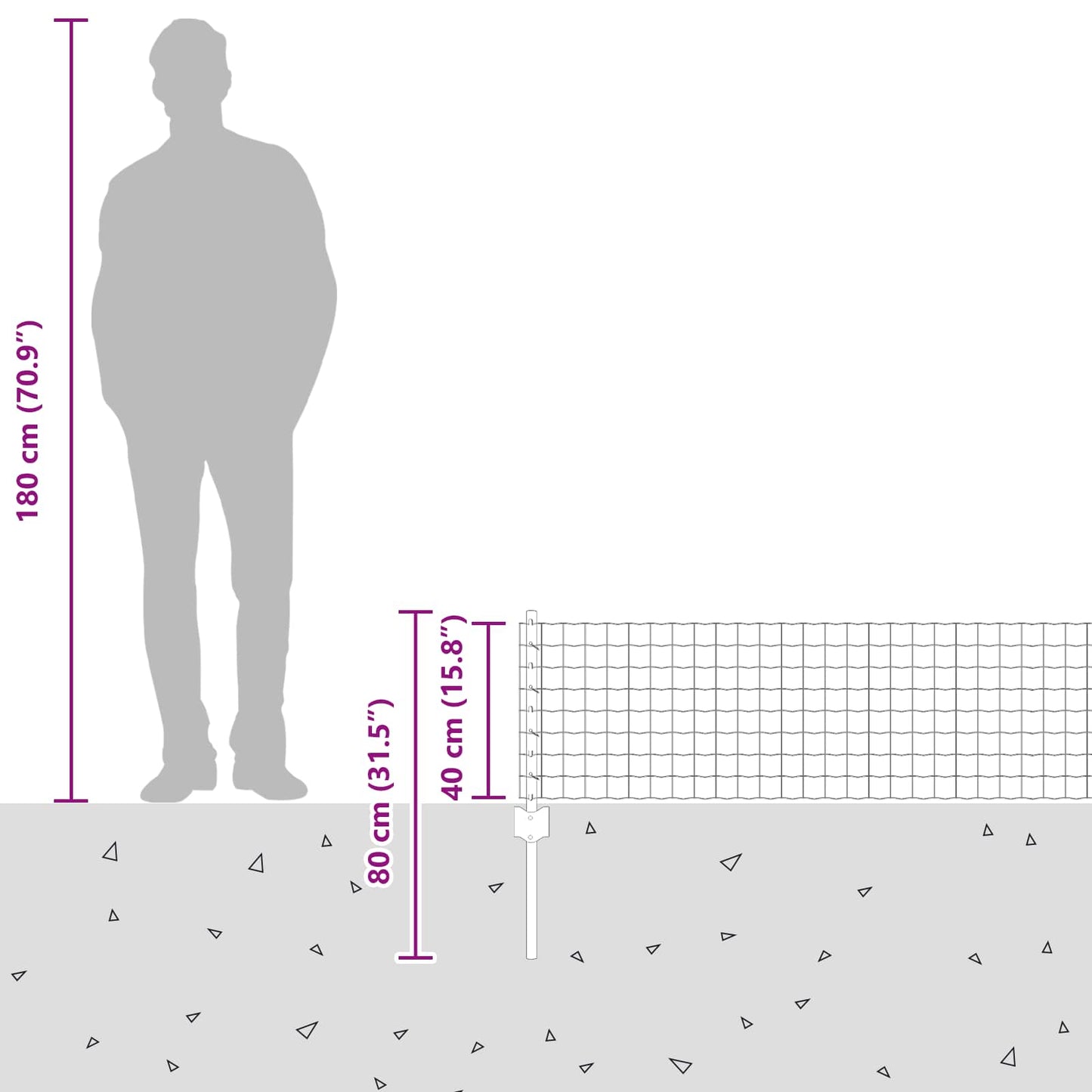 Eurohegn med stolpe 50 x 0,4 m Galvaniseret stål Sølv Mesh