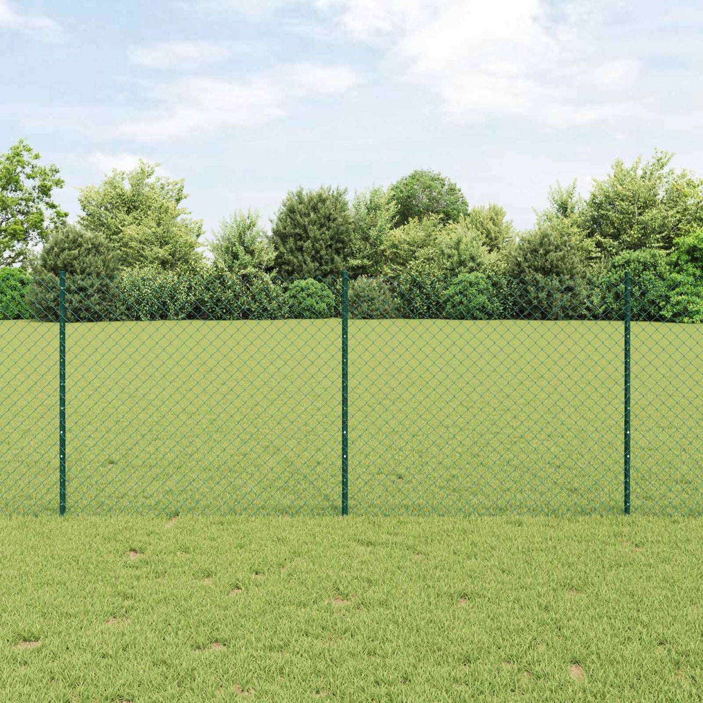 Kæde-link hegn med stolpe 10 x 1 m PVC-belagt stål Grøn Mesh