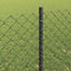 Kæde-link hegn med stolpe 25 x 0,8 m PVC-belagt stål Grå Mesh