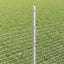 Svejsede trådhegn med stolper 10 x 0,5 m Galvaniseret stål Sølv
