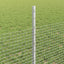 Svejsede trådhegn med stolper 25 x 0,5 m Galvaniseret stål Sølv