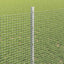 Svejsede trådhegn med stolper 25 x 0,8 m Galvaniseret stål Sølv