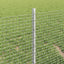Svejsede trådhegn med stolper 50 x 0,4 m Galvaniseret stål Sølv