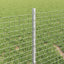 Svejsede trådhegn med stolper 50 x 0,4 m Galvaniseret stål Sølv
