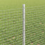 Svejsede trådhegn med stolper 100 x 0,6 m Galvaniseret stål