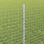 Svejsede trådhegn med stolper 100 x 0,8 m Galvaniseret stål