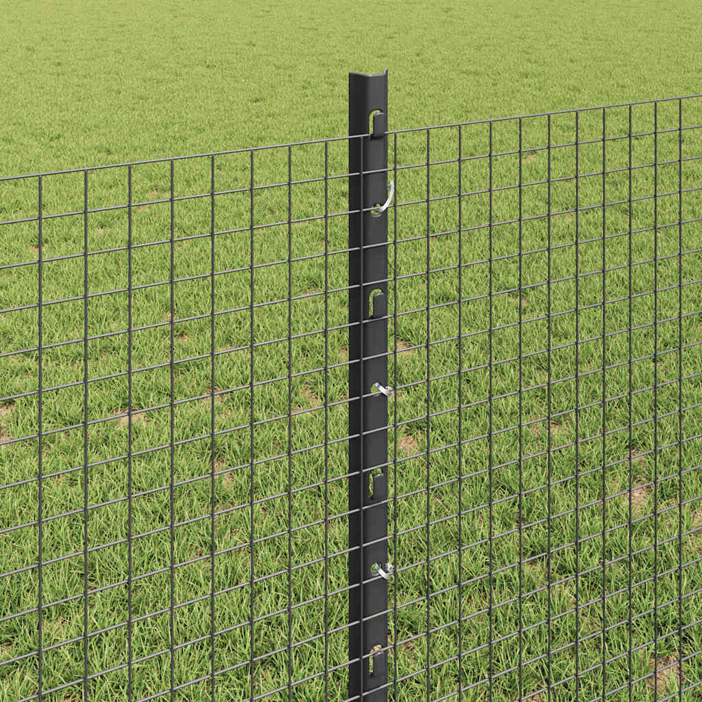 Svejsede trådhegn med stolper 10 x 0,8 m PVC-belagt stål Grå