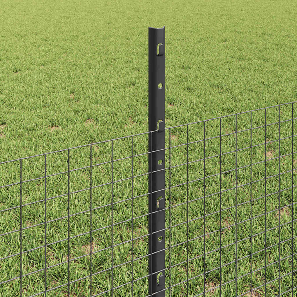 Svejsede trådhegn med stolper 25 x 0,5 m Galvaniseret stål Grå