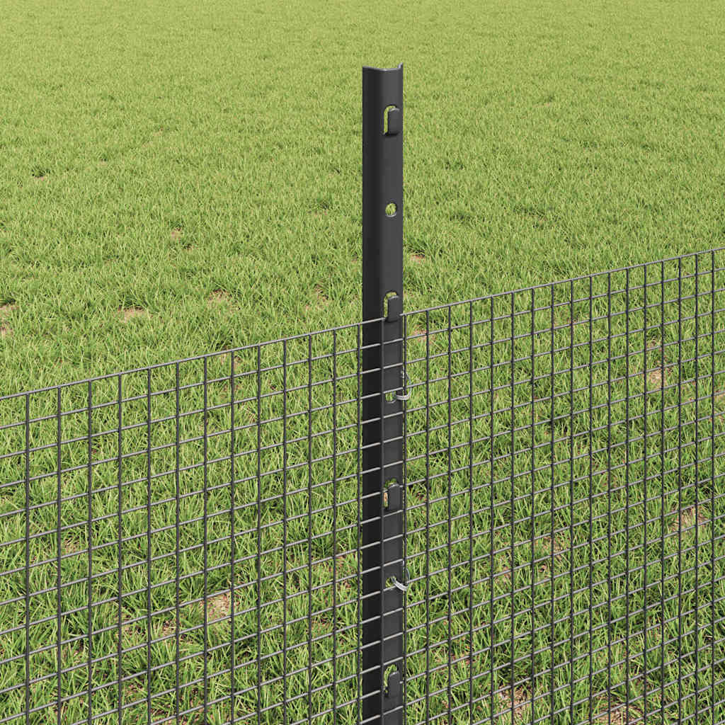 Svejsede trådhegn med stolper 50 x 0,5 m PVC-belagt stål Grå