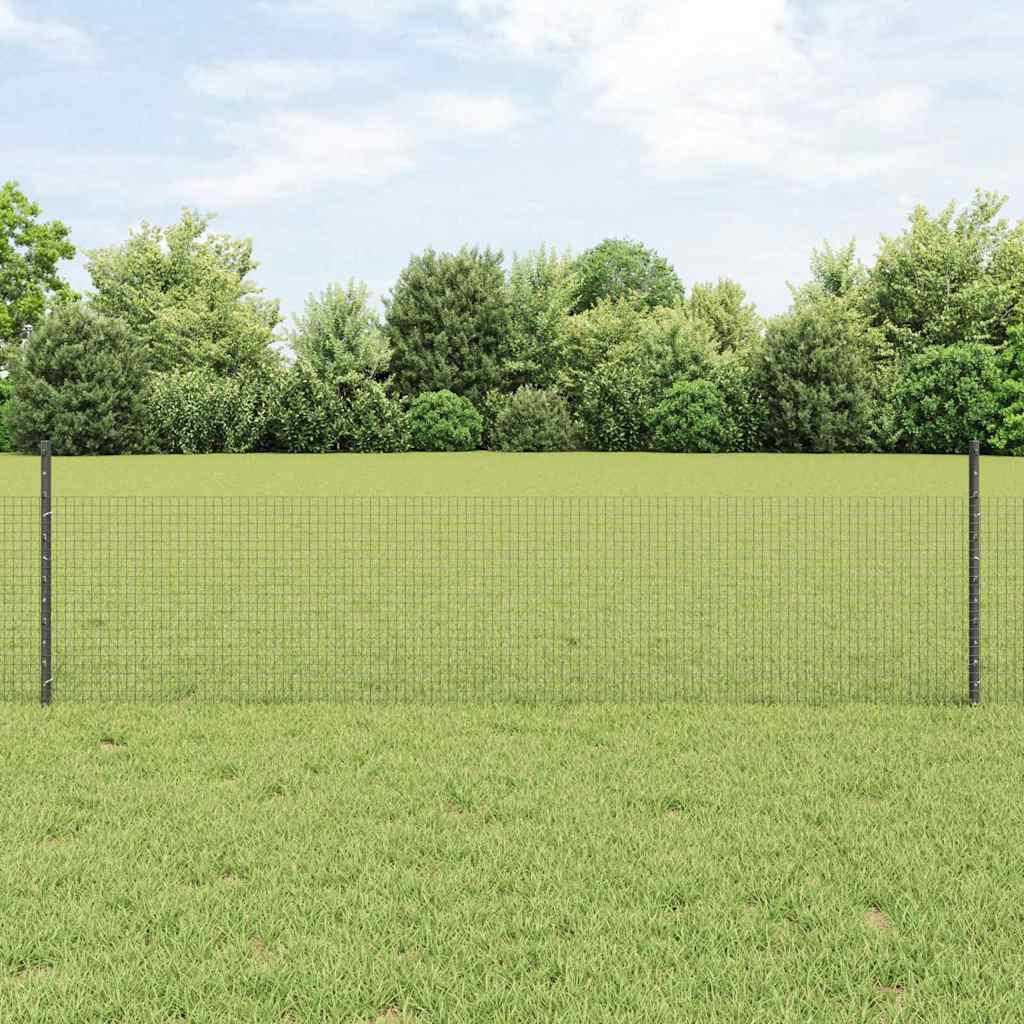 Svejsede trådhegn med stolper 50 x 0,5 m PVC-belagt stål Grå