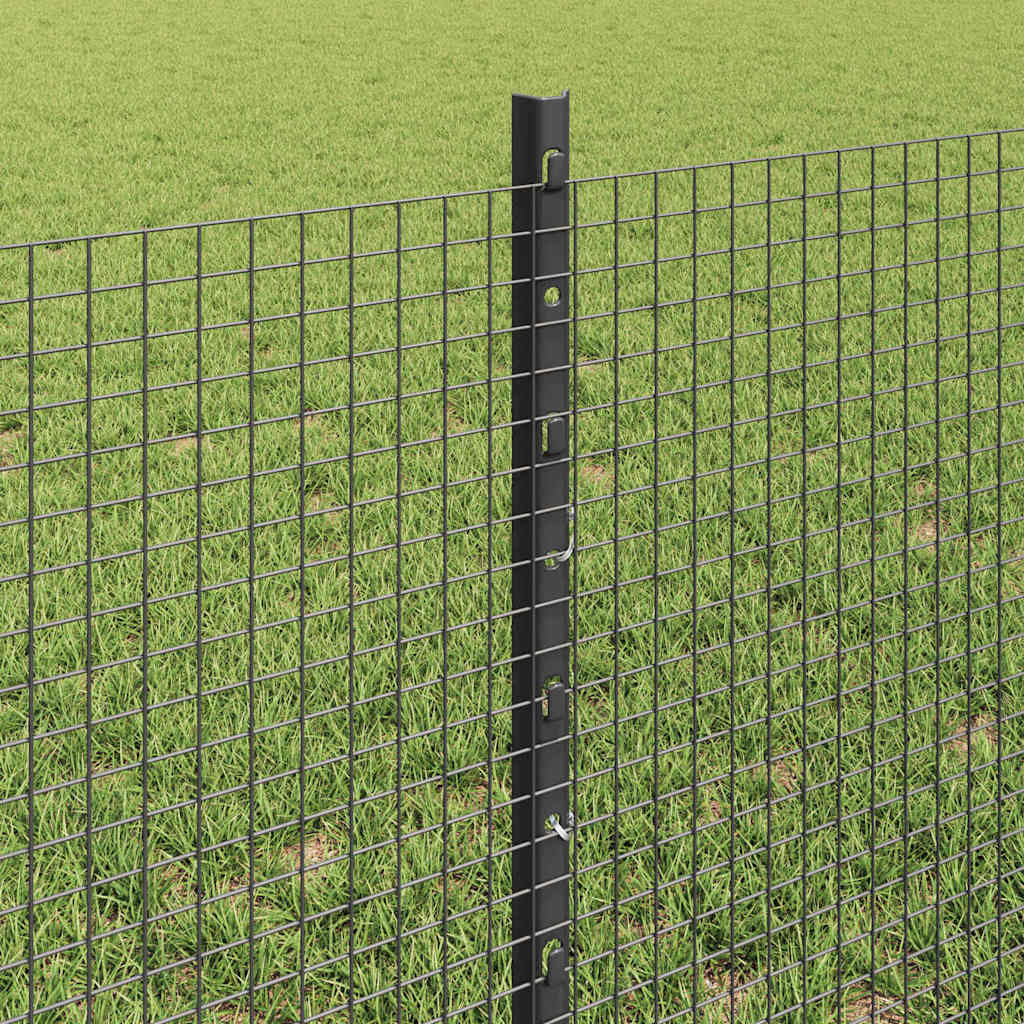 Svejsede trådhegn med stolper 50 x 0,6 m PVC-belagt stål Grå