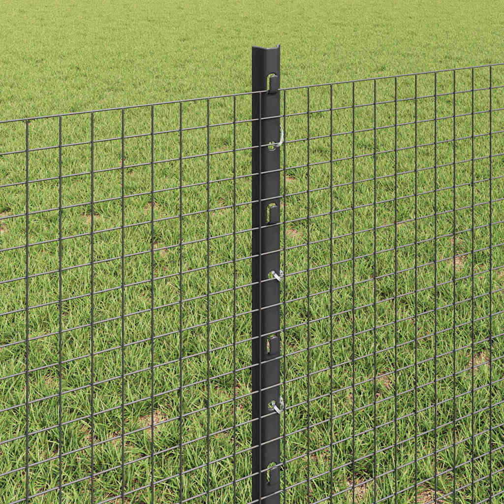Svejsede trådhegn med stolper 100 x 0,6 m PVC-belagt stål Grå