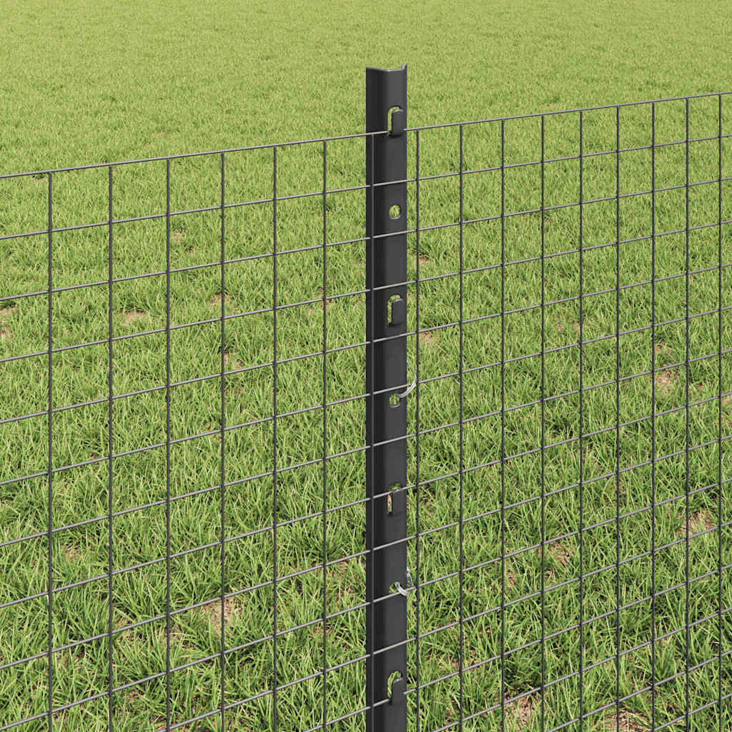 Svejsede trådhegn med stolper 100 x 0,6 m PVC-belagt stål Grå
