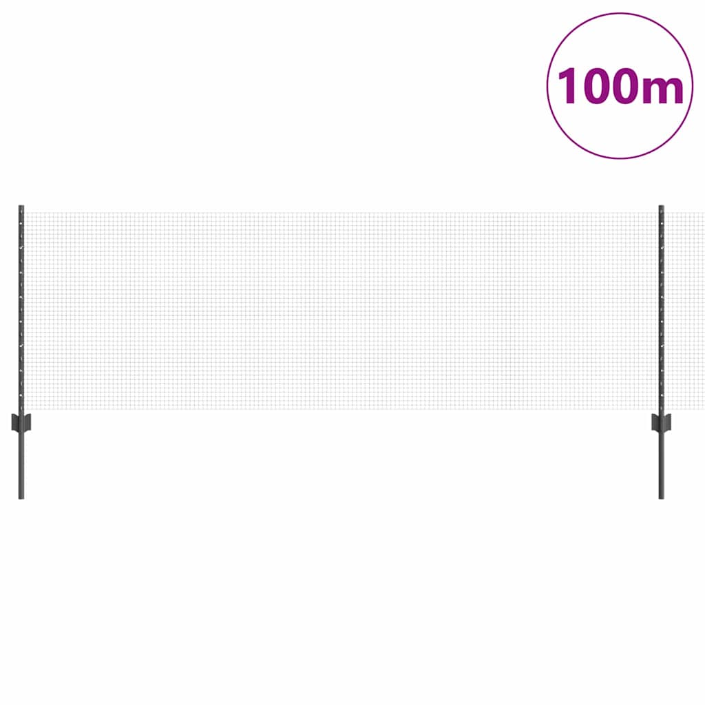 Svejsede trådhegn med stolper 100 x 0,8 m PVC-belagt stål Grå