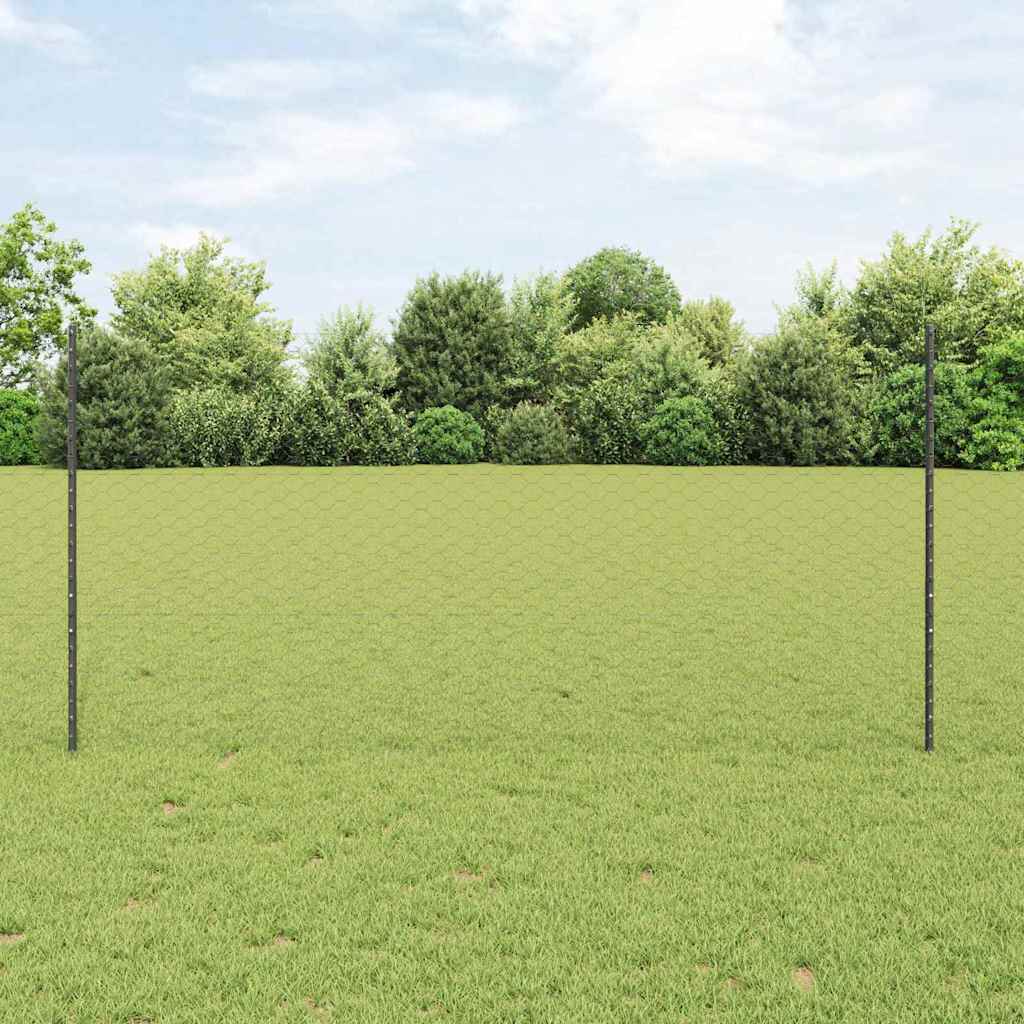 Sekskantet hegn med stolpe 10 x 1,2 m PVC-belagt stål Grå Mesh