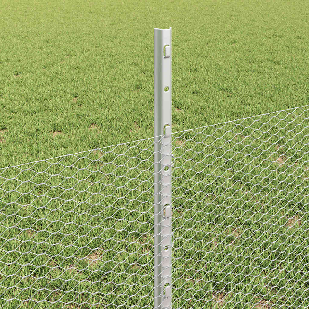 Sekskantet hegn med stolpe 25 x 0,5 m Galvaniseret stål Sølv