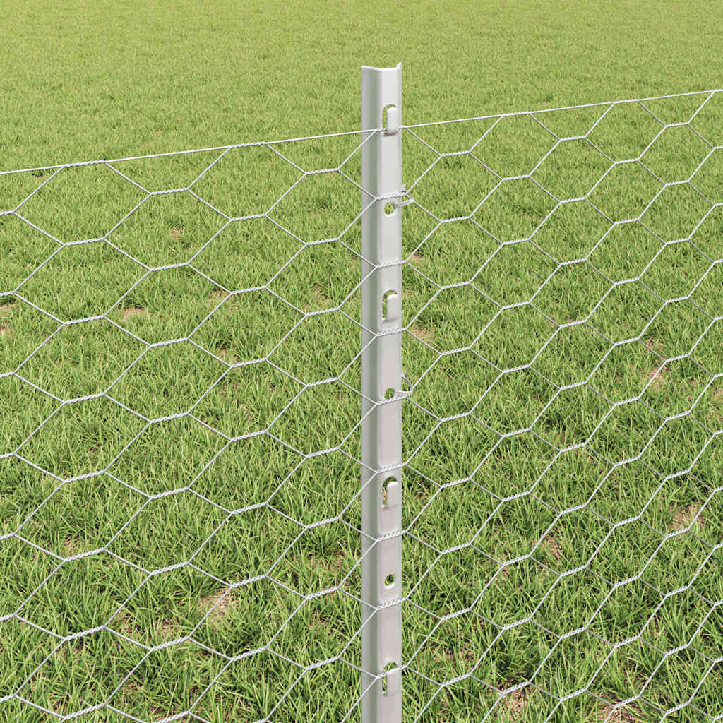 Sekskantet hegn med stolpe 50 x 0,6 m Galvaniseret stål Sølv