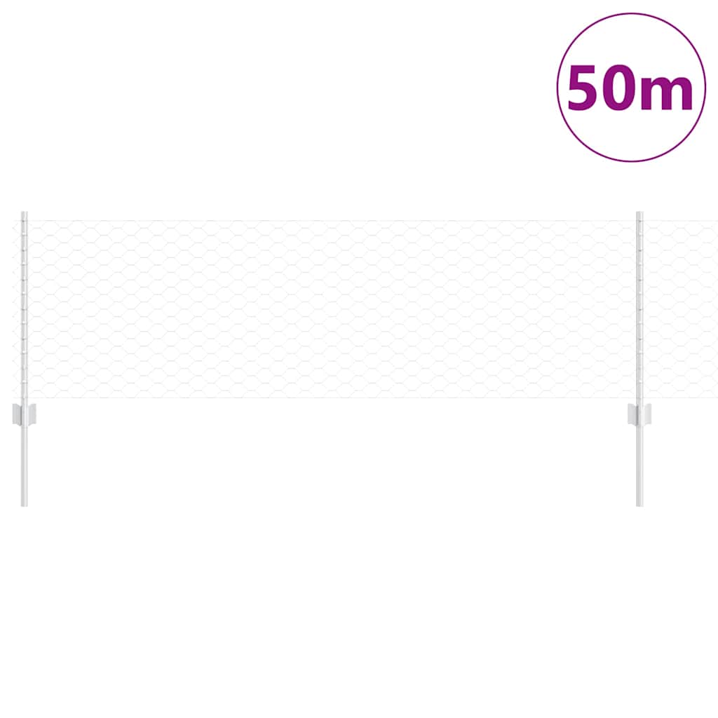 Sekskantet hegn med stolpe 50 x 0,6 m Galvaniseret stål Sølv