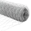 Sekskantet hegn med stolpe 50 x 1,4 m Galvaniseret stål Sølv