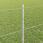 Udendørs Vildt Hegn med Stolper 25 x 0,8 m Galvaniseret stål