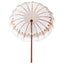 Balinesisk Parasol Creme 190 x 190 x 260 cm