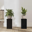 Planteholder 2 pcs Sort eg 10 x 10 x 18 cm Konstrueret træ