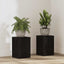 Planteholder 2 pcs Sort eg 20 x 20 x 30 cm Konstrueret træ