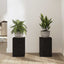 Planteholder 2 pcs Sort eg 20 x 20 x 30 cm Konstrueret træ