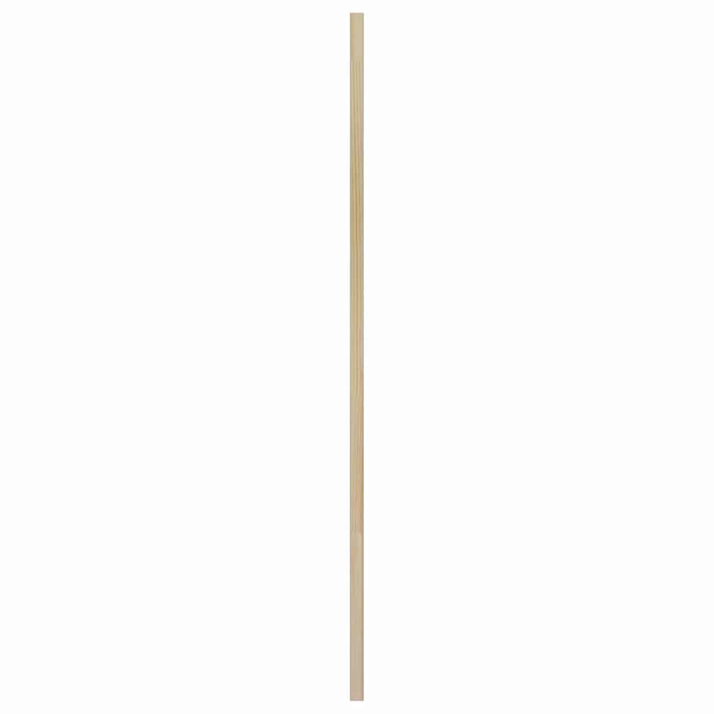 Skabsdør Naturfarvet 49,5 x 2,1 x 110 cm Massiv fyrretræ