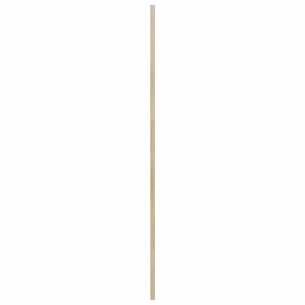 Skabsdør med dør 2 pcs Naturfarvet 49,5 x 2,1 x 140,5 cm