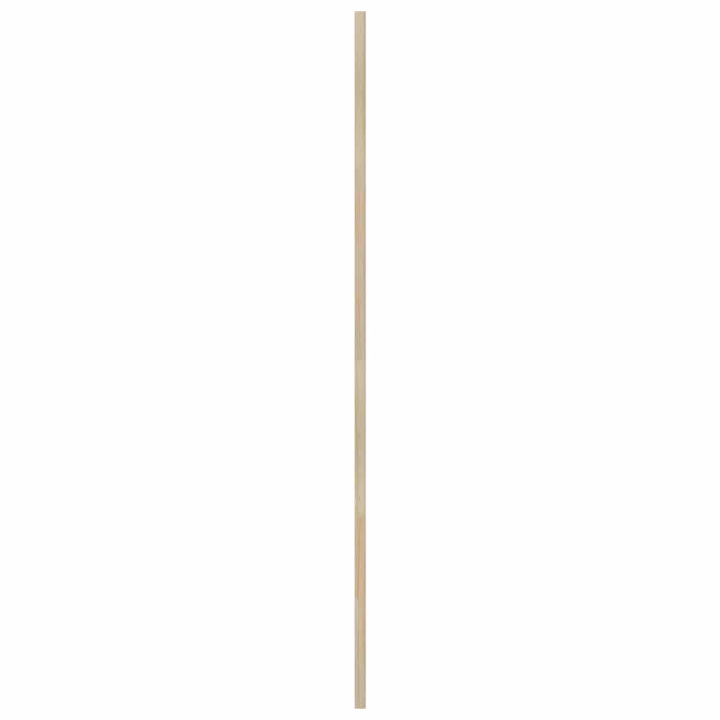 Skabsdør med dør 2 pcs Naturfarvet 140,5 x 2,1 x 59,5 cm