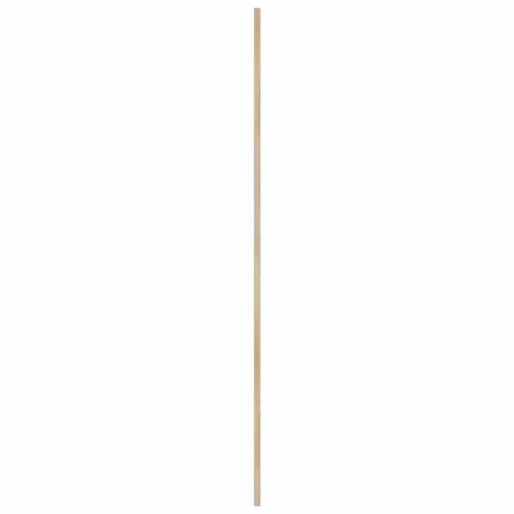 Skabsdør Naturfarvet 170 x 2,1 x 39,5 cm Massiv fyrretræ