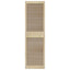 Skabsdør 2 pcs Naturfarvet 170 x 2,1 x 49,5 cm Massiv fyrretræ
