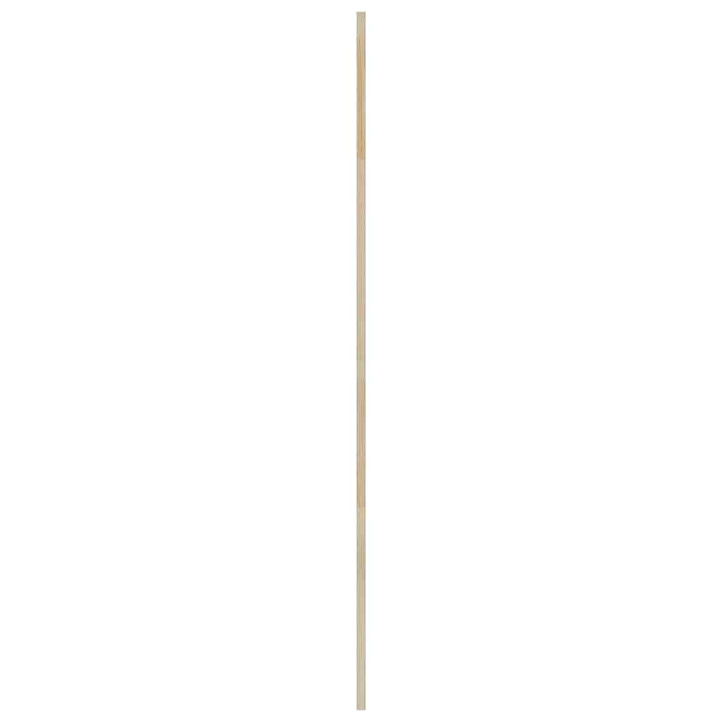 Skabsdør 2 pcs Naturfarvet 170 x 2,1 x 49,5 cm Massiv fyrretræ