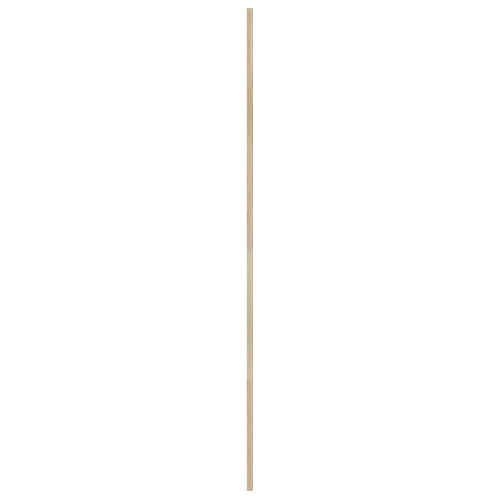 Skabsdør 2 pcs Naturfarvet 170 x 2,1 x 59,5 cm Massiv fyrretræ
