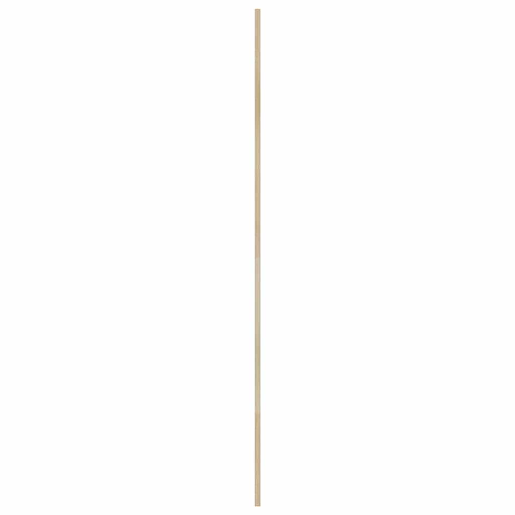 Skabsdør 2 pcs Naturfarvet 201 x 2,1 x 39,5 cm Massiv fyrretræ
