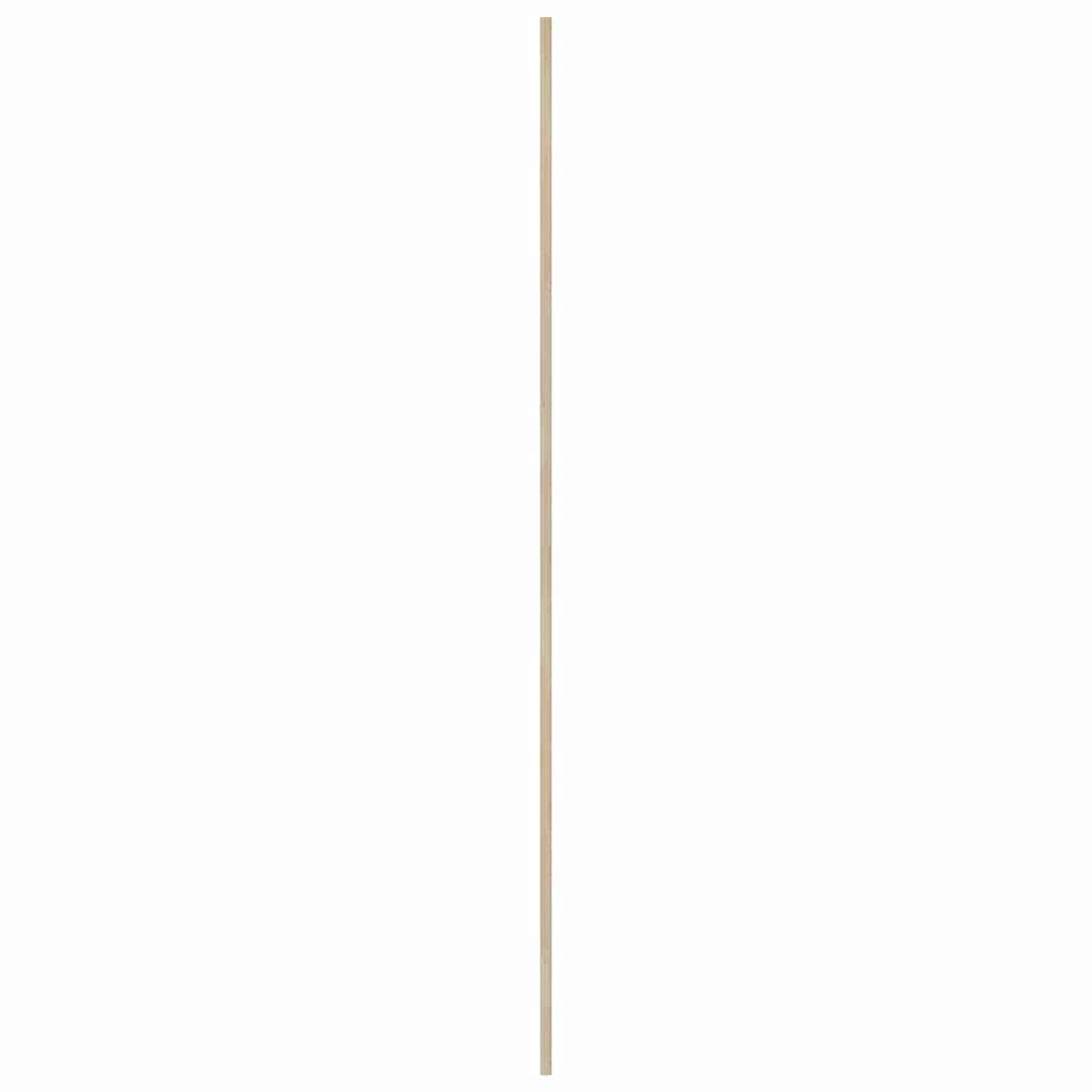 Skabsdør Naturfarvet 201 x 2,1 x 49,5 cm Massiv fyrretræ