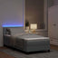 Box spring seng med pude Lysegrå 100 x 200 cm Stof