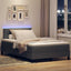 Box spring seng med LED-lysstrimler Mørkegrå 120 x 200 cm Stof