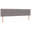 Box spring seng med LED-lysstrimler Gråbrun 200 x 200 cm Stof