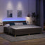 LED Box Spring Bed med hovedgærde Mørk Brun 200 x 200 cm Stof