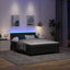 LED Box Spring Bed med hovedgærde Sort 160 x 200 cm Fløjl