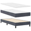 LED Box Spring Bed med hovedgærde Mørkegrå 100 x 200 cm Fløjl