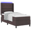 LED Box Spring Bed med hovedgærde Mørk Brun 100 x 200 cm Stof