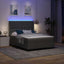 LED Box Spring Bed med hovedgærde Mørkegrå 160 x 200 cm Stof