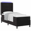 Box spring seng med LED-lysstrimler Sort 80 x 200 cm Fløjl