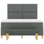 Box spring seng med pude Mørkegrå 200 x 160 cm Stof