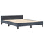 Box spring seng med hovedgærde Mørkegrå 160 x 200 cm Fløjl