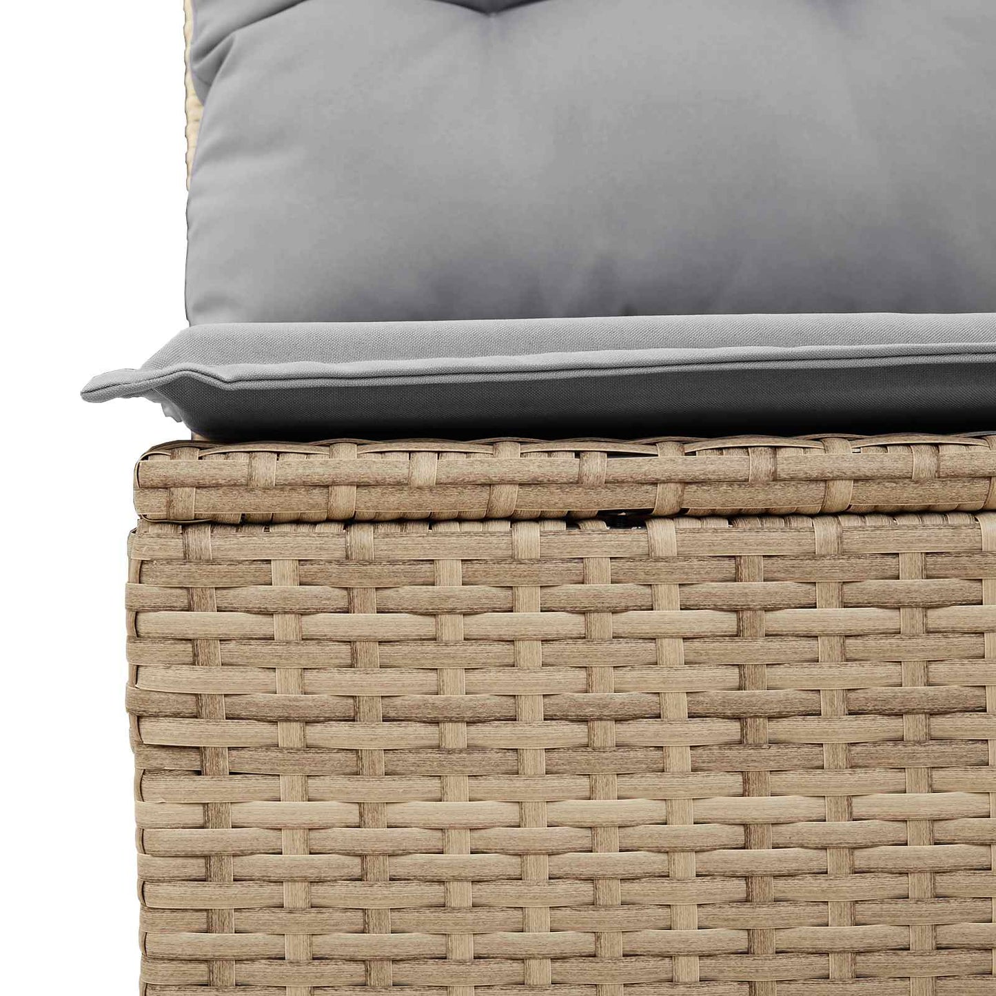 Havesofa Sæt med pude 10 pcs Beige og lys grå