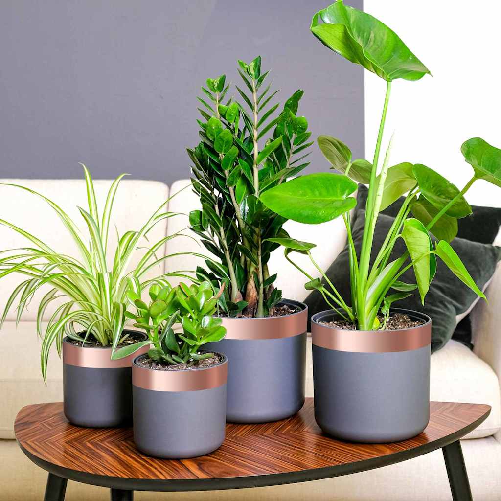 Kobberbånd til sneglebeskyttelse 6 pcs Kobber 50 mm x 20 m
